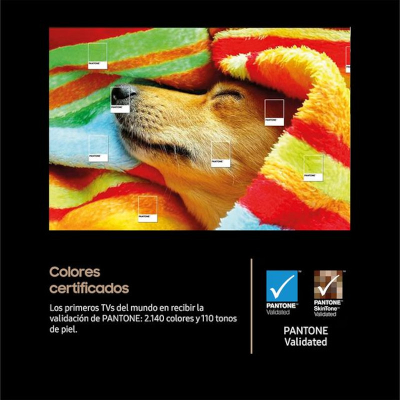 Samsung TQ42S90FAE 42 pulgadas OLED 4K negro, pantalla delgada con marcos mínimos, colores PANTONE validados y contraste profundo para imágenes vibrantes