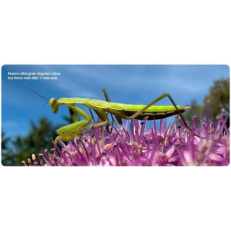 Tela ampla com foto macro nítida de louva‑a‑deus sobre flor roxa, cores vibrantes e alto detalhe, destacando a ultra‑grande angular do iPhone 16