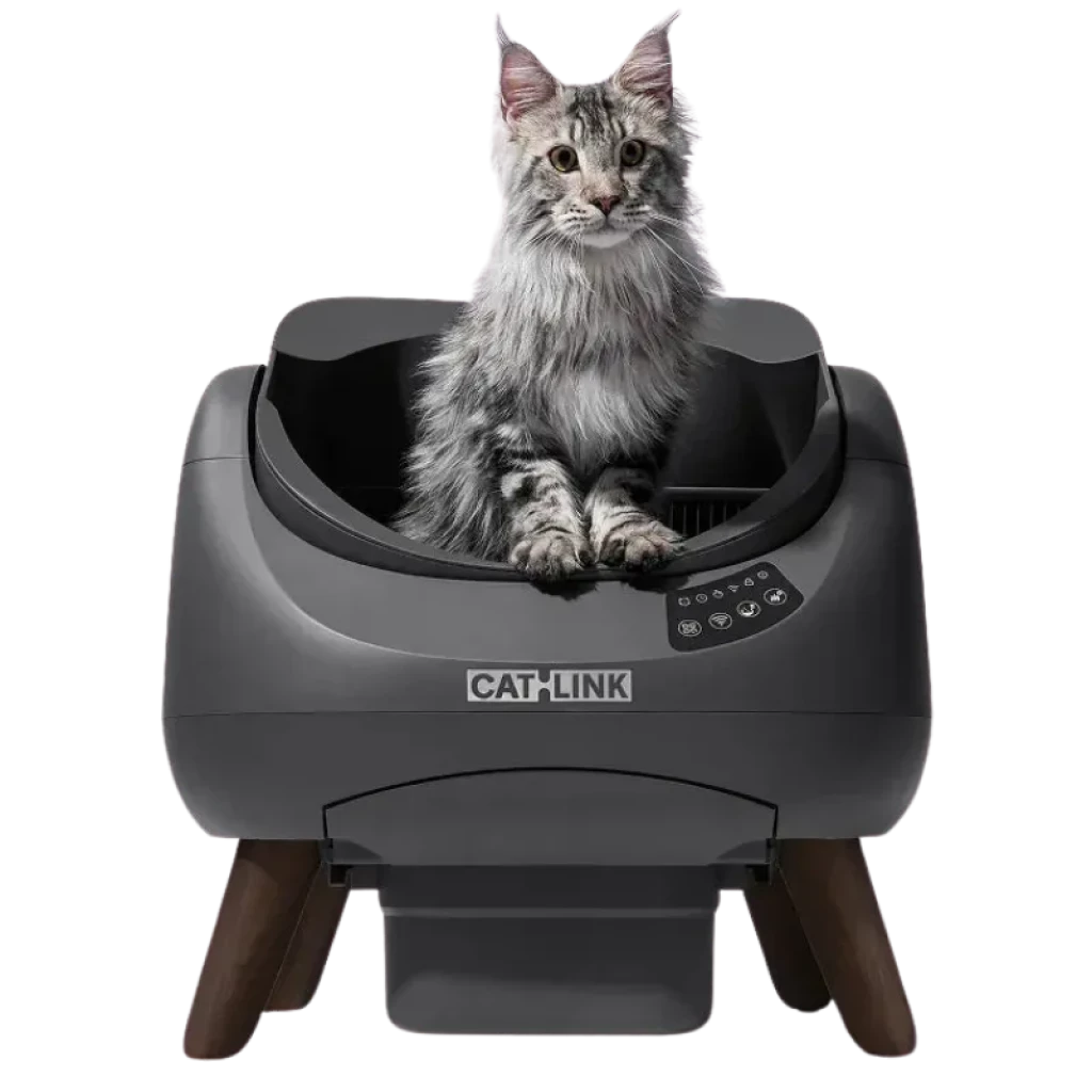 Arenero autolimpiable gris con tapa abierta, base elevada con patas de madera, panel de control lateral y cajón recolector; gato sentado en el interior