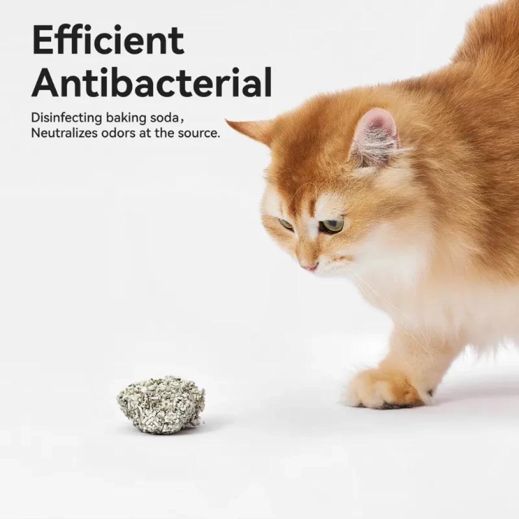 Lot de 2 paquets de litière pour chat CATLINK Mixte Yucca avec granulés agglomérants, teinte claire ; l'emballage présente des boules compactes et la mention « Antibactérien efficace » sur fond blanc