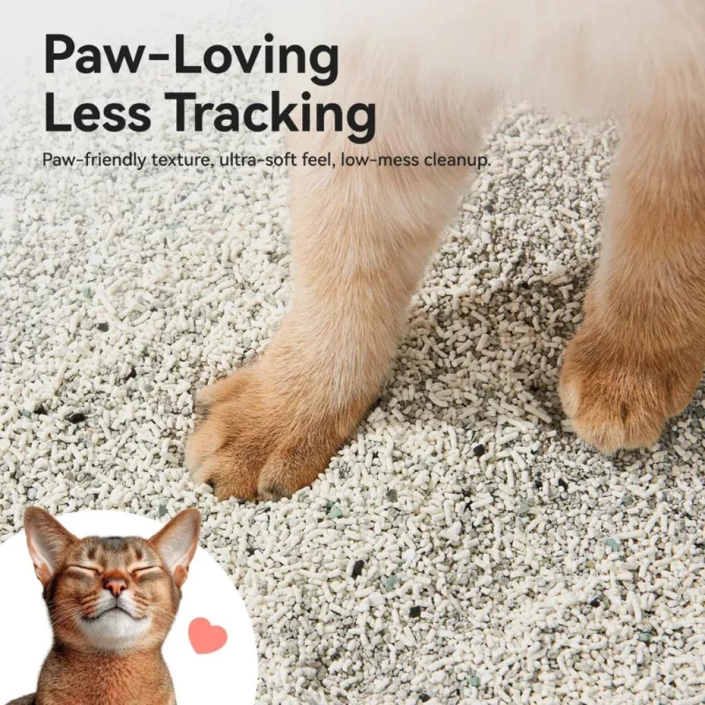 CATLINK Litière pour chats à base de yucca, grains clairs et fins, doux pour les pattes, faible dispersion, surface texturée, paquet de 2