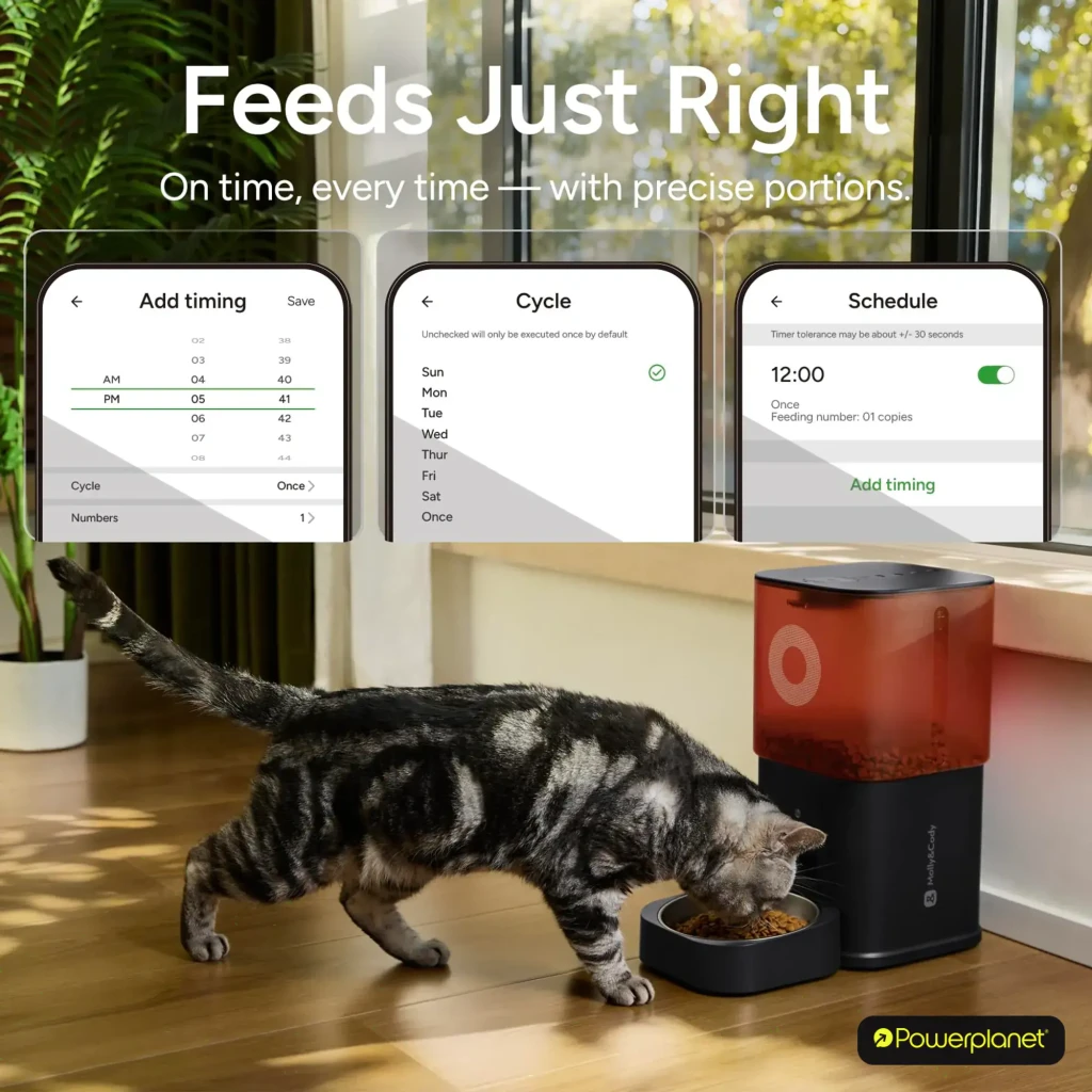 Comedero Automático Molly & Cody Smart Feeder 6L App Camera con tolva roja translúcida, cuenco metálico y control por app; gato comiendo junto a ventana