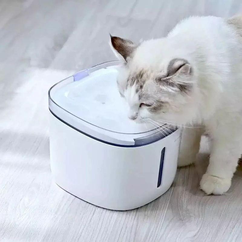 Bebedero Petoneer Fresco Mini Plus Smart Pet Fountain con un gato