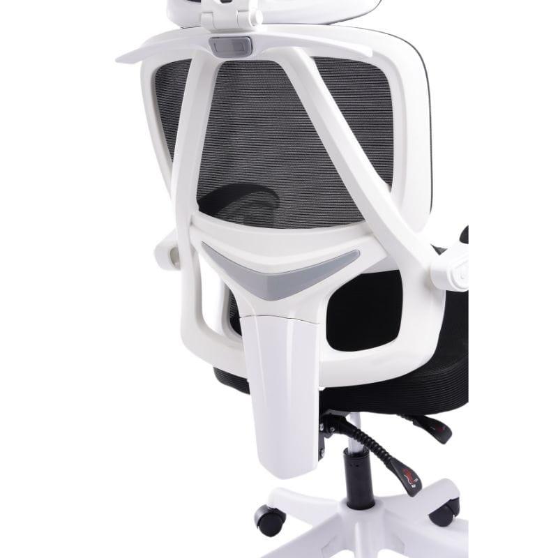 Powerbasic Évora imagen trasera soporte lumbar