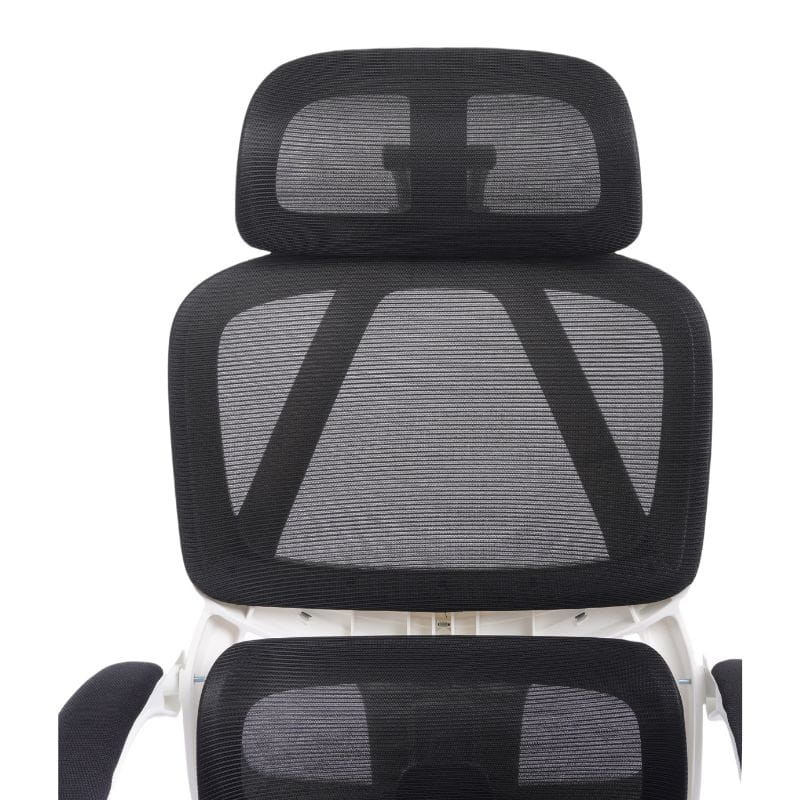 Powerbasic Évora imagen trasera de la espalda