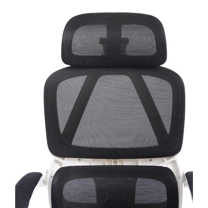 Powerbasic Évora imagen trasera de la espalda