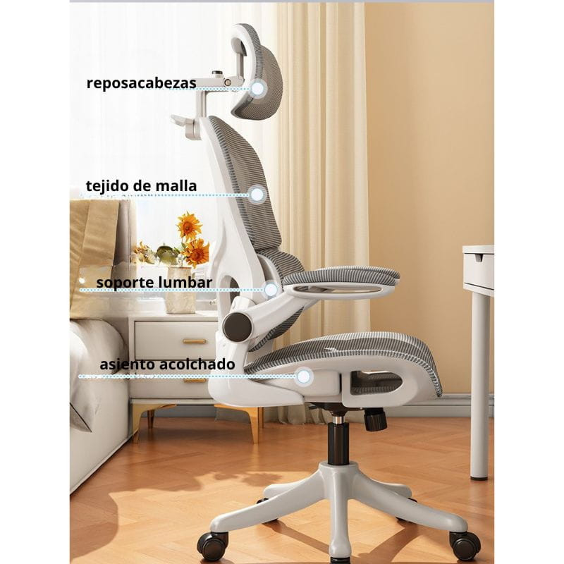 Fonctionnalités de Powerbasic Seixal