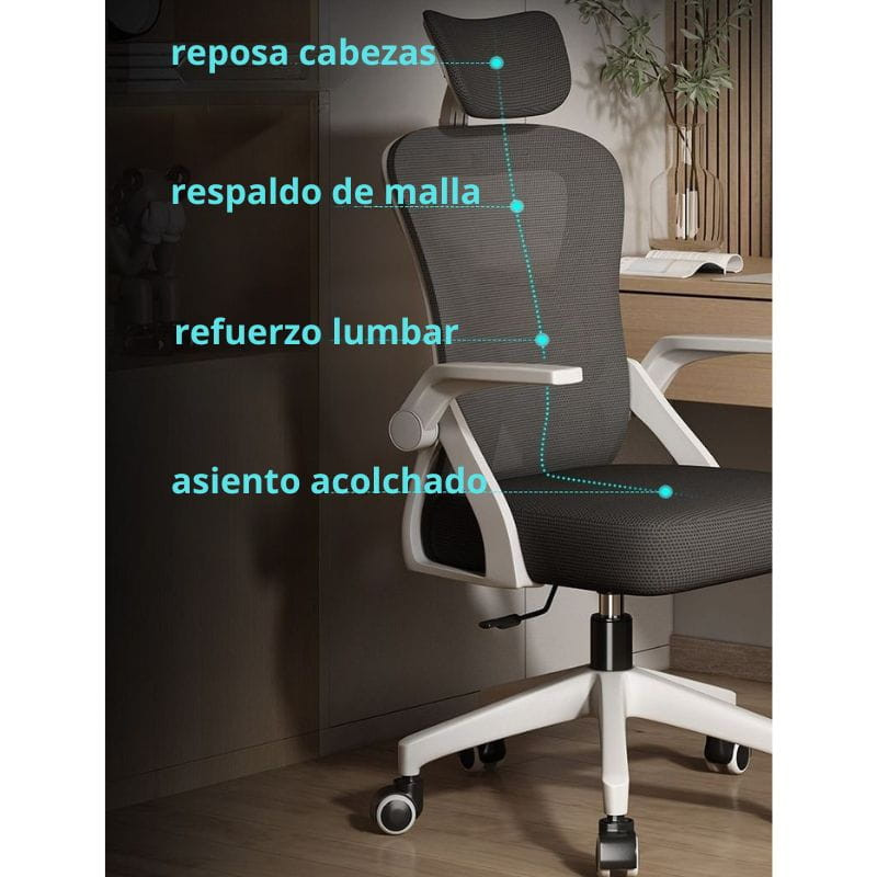 Powerbasic Lagos características