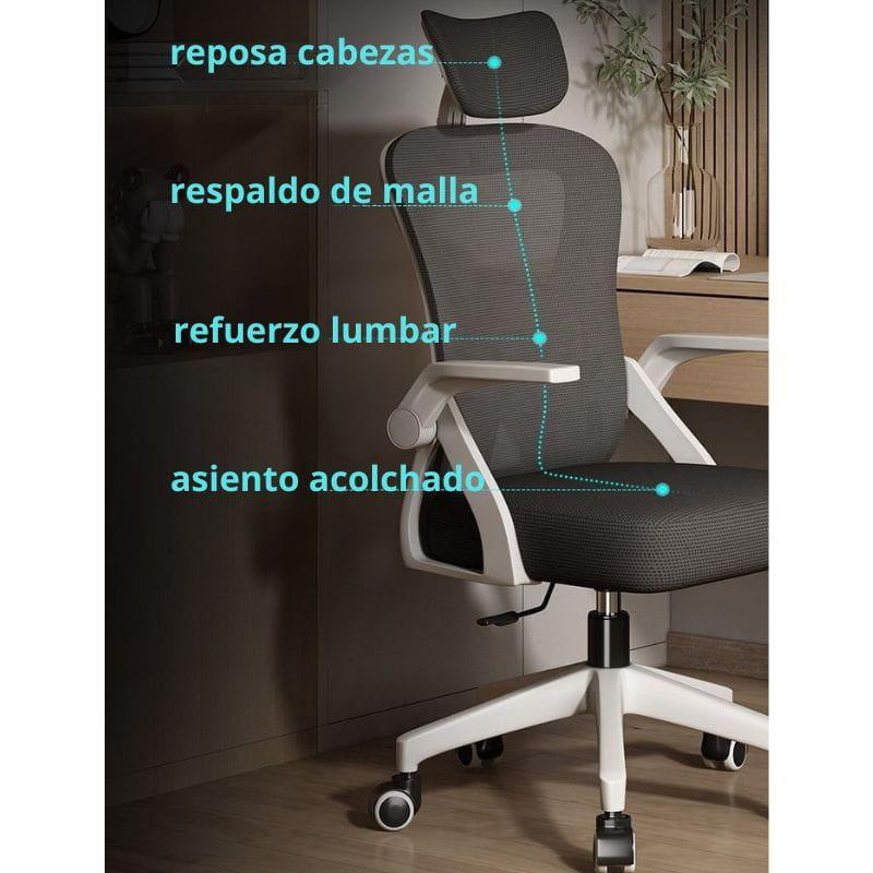 Powerbasic Lagos características