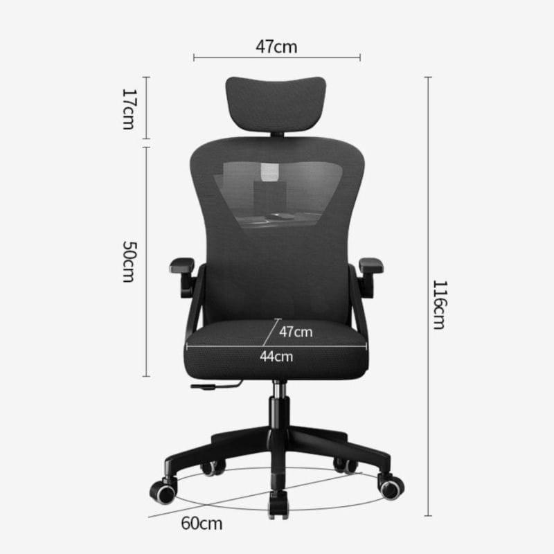 Powerbasic Lagos medidas