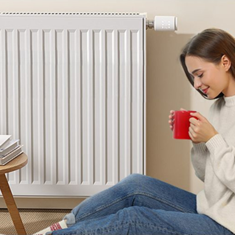 Cómodo de Termostato Inteligente Gosund STR1 TUYA