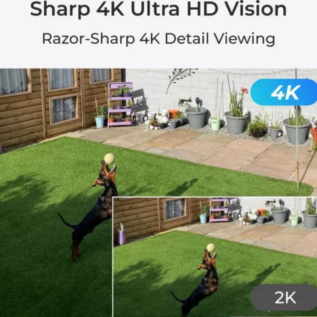 Reolink W437, muestra visión ultra nítida de exterior con detalle superior frente a 2K en jardín y patio