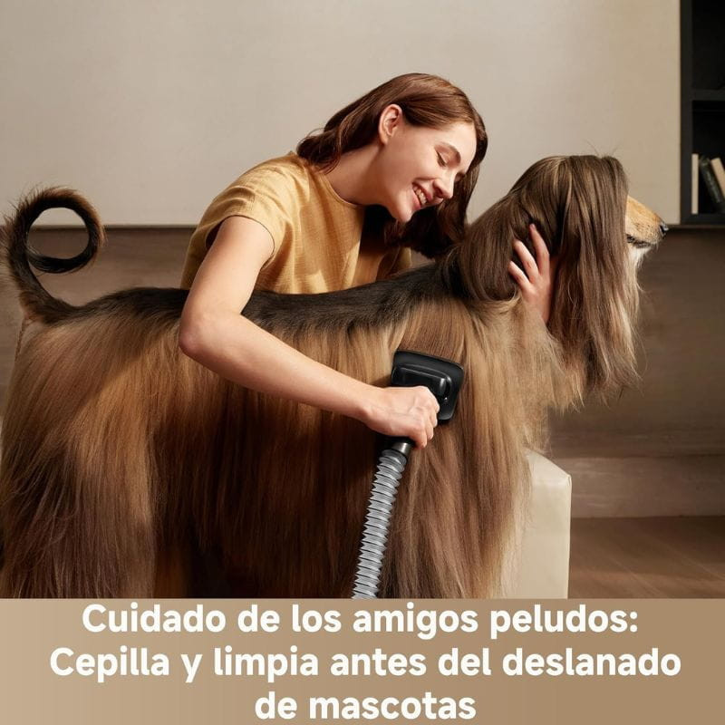 Dreame Z40 - Aspiradora sin Cable imagen real con mascota