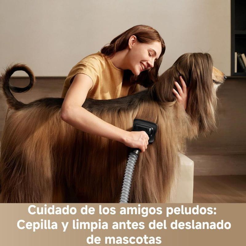 Dreame Z40 - Aspiradora sin Cable imagen real con mascota