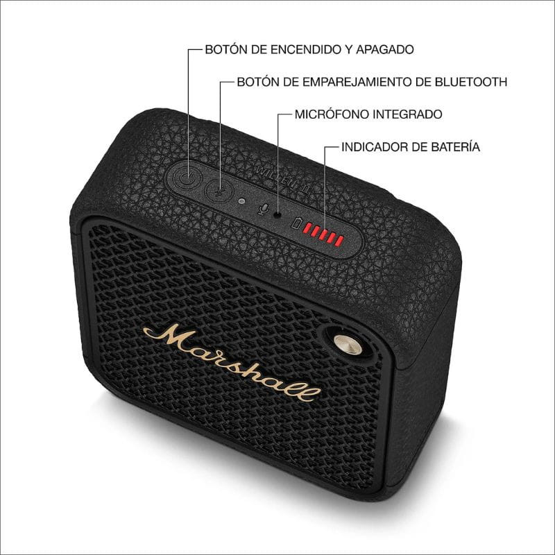 Marshall Willen II Noir laiton boutons supérieurs