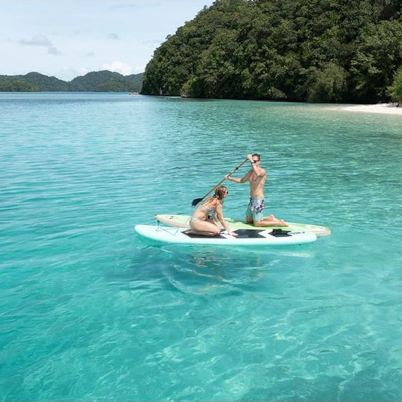 Propulsão do Waydoo Subnado