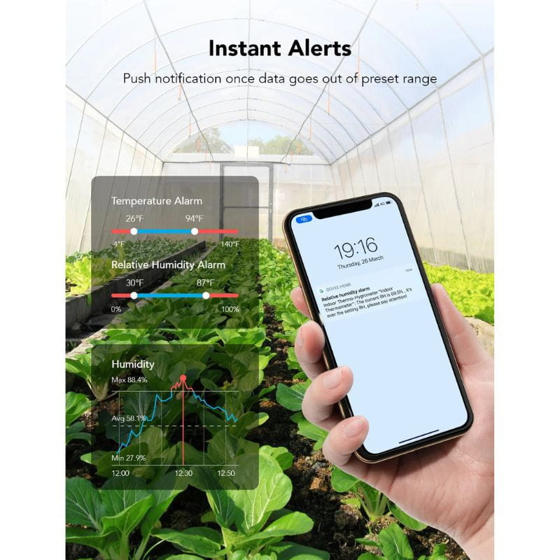 Govee H5075 Bluetooth - Capteur de température et d'humidité avec alertes instantanées