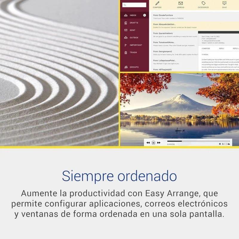 DELL S Series S2425H 24 Full HD LCD IPS 100 Hz Negro, Plata productividad con Easy Arrange