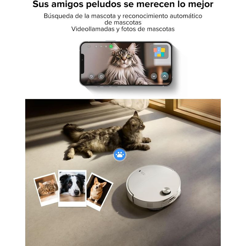 Mascotas de Roborock Qrevo Curv X Blanca