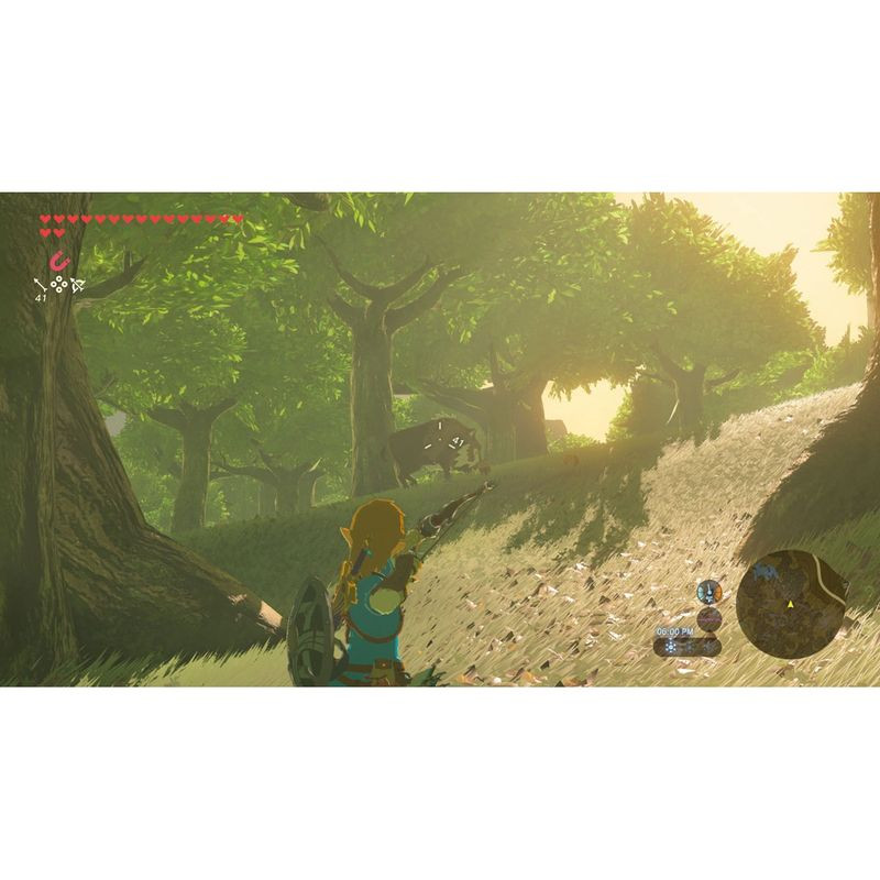 Arco de The Legend of Zelda: Breath of the Wild Switch 2 Edition - Nintendo Switch 2 