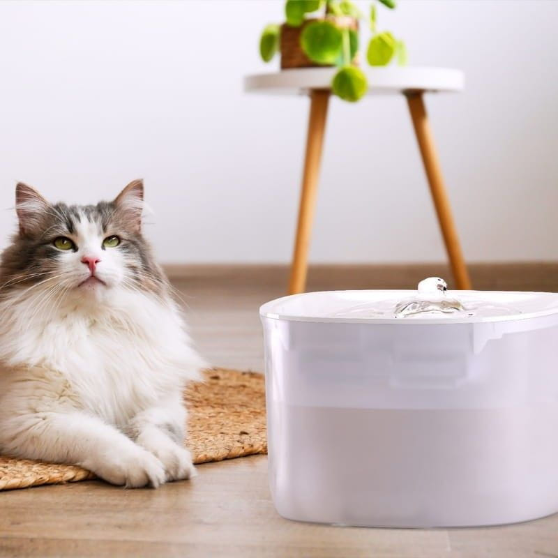 Limpieza Bebedero Petoneer Fresco Ezgo Smart Pet Fountain