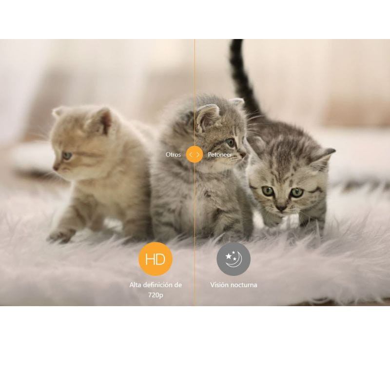 Petoneer Nutri Vision Feeder Blanco - Comedero Inteligente Para Mascotas , con cámara HD