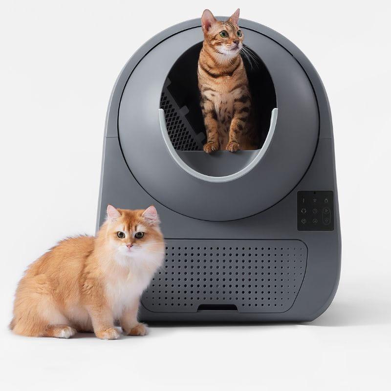 Bac à litière autonettoyant Catlink AI Scooper Luxury Pro X Gris, avec chatons