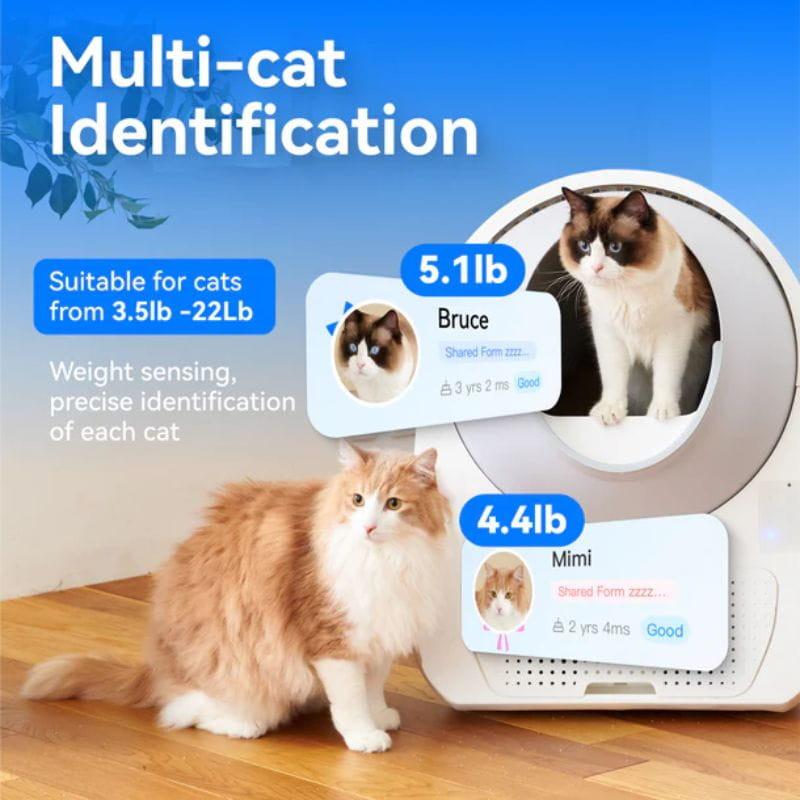 Litière autonettoyante Catlink AI Scooper Luxury Pro X Gris, identification des chats