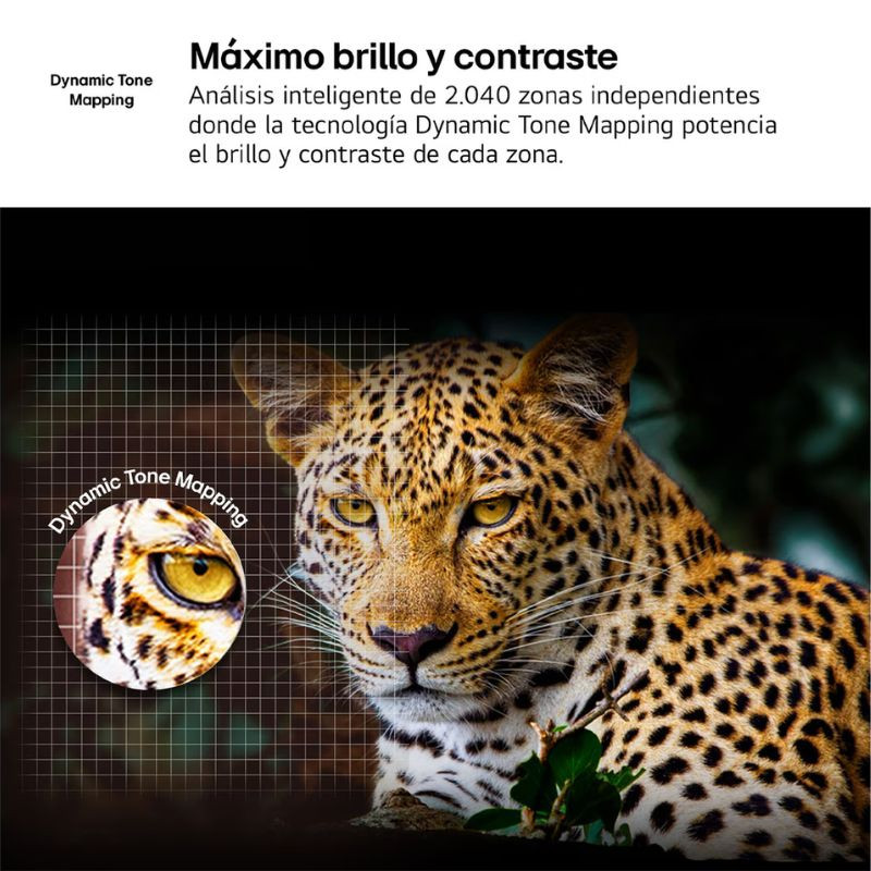 LG 55NANO81A6A 55" 4K Ultra HD NanoCell Smart TV Negro, tecnología Dynamic Tone Mapping que da un mayor brillo y contraste