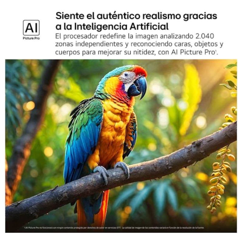 IA de LG QNED evo AI 55QNED87A6B