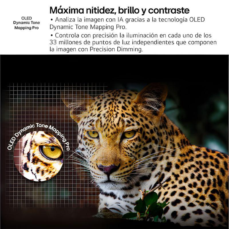 LG OLED65B56LA 65" 4K: pantalla OLED negra con Dynamic Tone Mapping Pro, alto brillo y contraste, detalle preciso y negros puros con control de atenuación.
