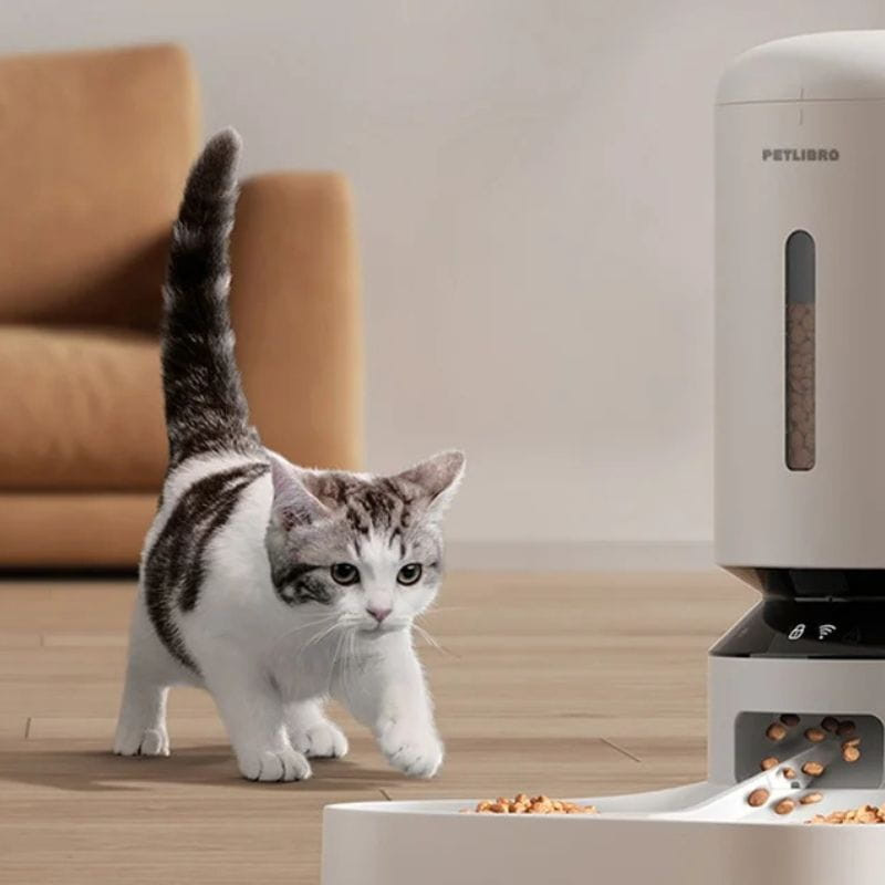 Petlibro Granary 5L Blanco — dispensador automático elegante con depósito translúcido, salida inferior al plato y acabado mate, ideal para gatos en casa