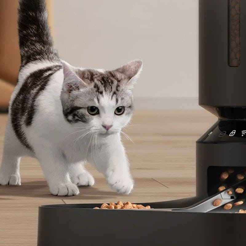 Petlibro Granary comedero automático con doble recipiente y WiFi, depósito 5L, ración dosificada visible, diseño gris mate; gato interactuando con el plato