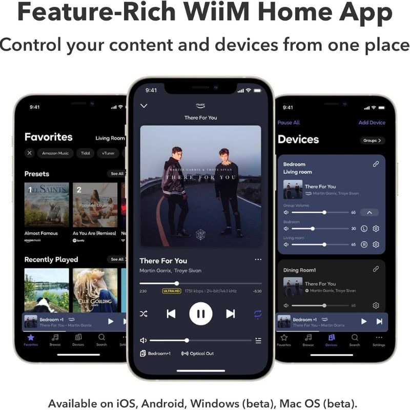 WiiM Ultra - Preamplificador de sonido Gris oscuro, vista de su app propia WiiM Home App