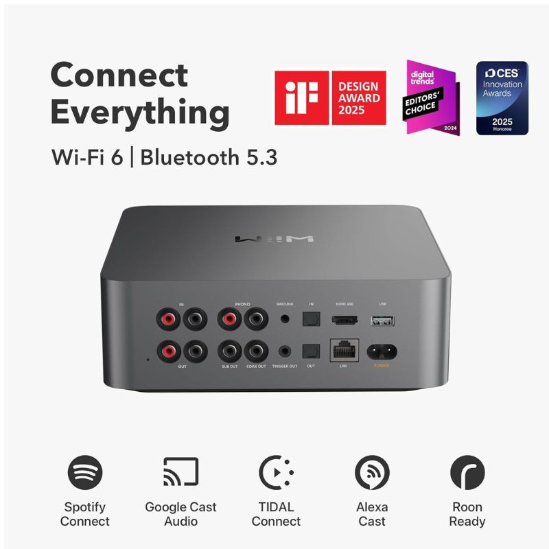 WiiM Ultra - Preamplificador de sonido Gris oscuro, vista de sus puertos y entradas