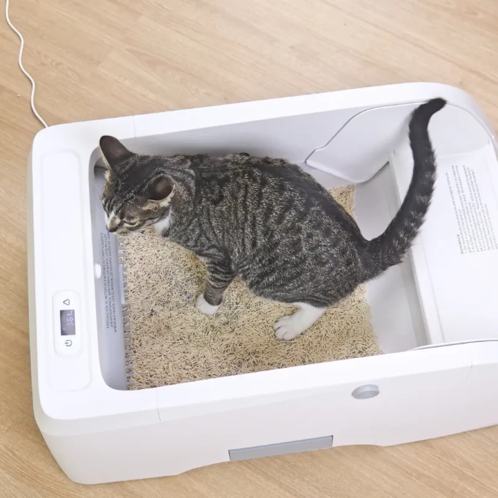 Imagen de gato dentro de la caja de arena Orbitaler Yupiter AstroClean 5500 Sand Pool Smart Viewer vista desde arriba