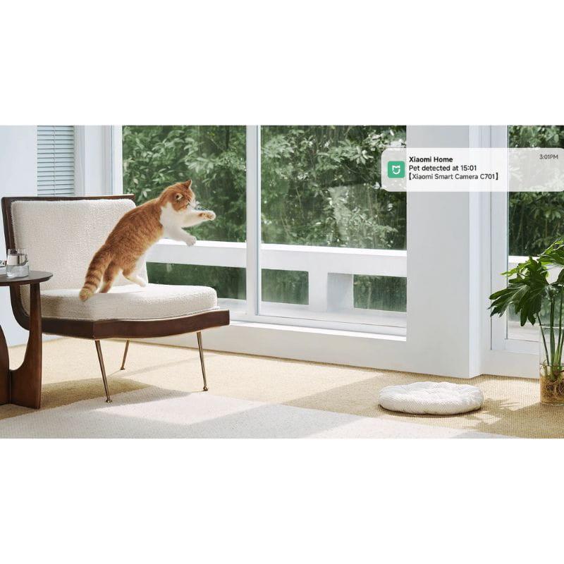 Xiaomi Smart Camera C701, imagen detectando mascota