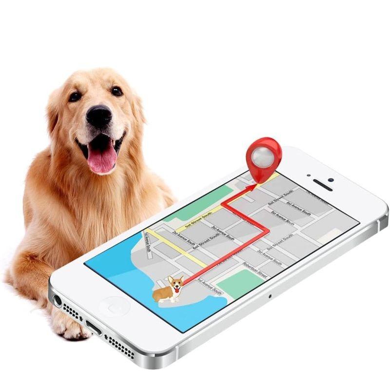 GPS de Traceur GPS TKSTAR TK919 - Localisateur GPS