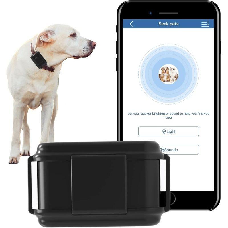 Pour les animaux de Traceur GPS TKSTAR TK919 - Localisateur GPS