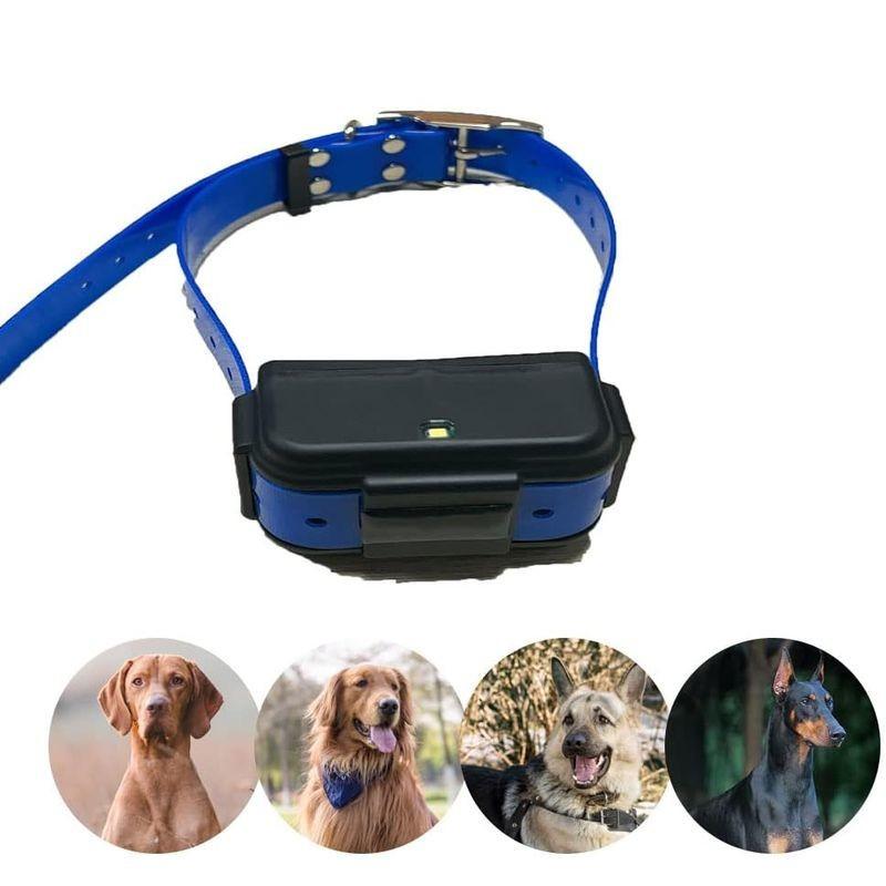 Ceinture de Traceur GPS TKSTAR TK919 - Localisateur GPS