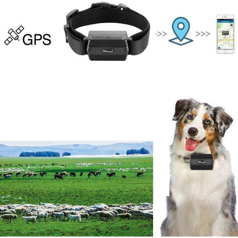 Animaux de Traceur GPS TKSTAR TK935 - Traceur GPS