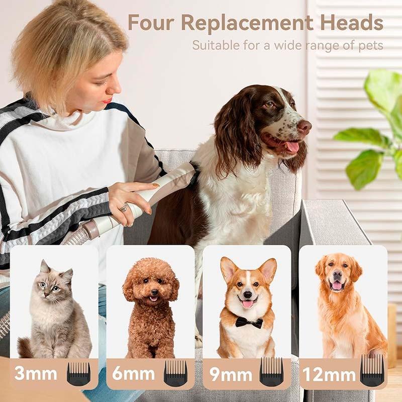 Redroad P17 - peignes de tailles différentes