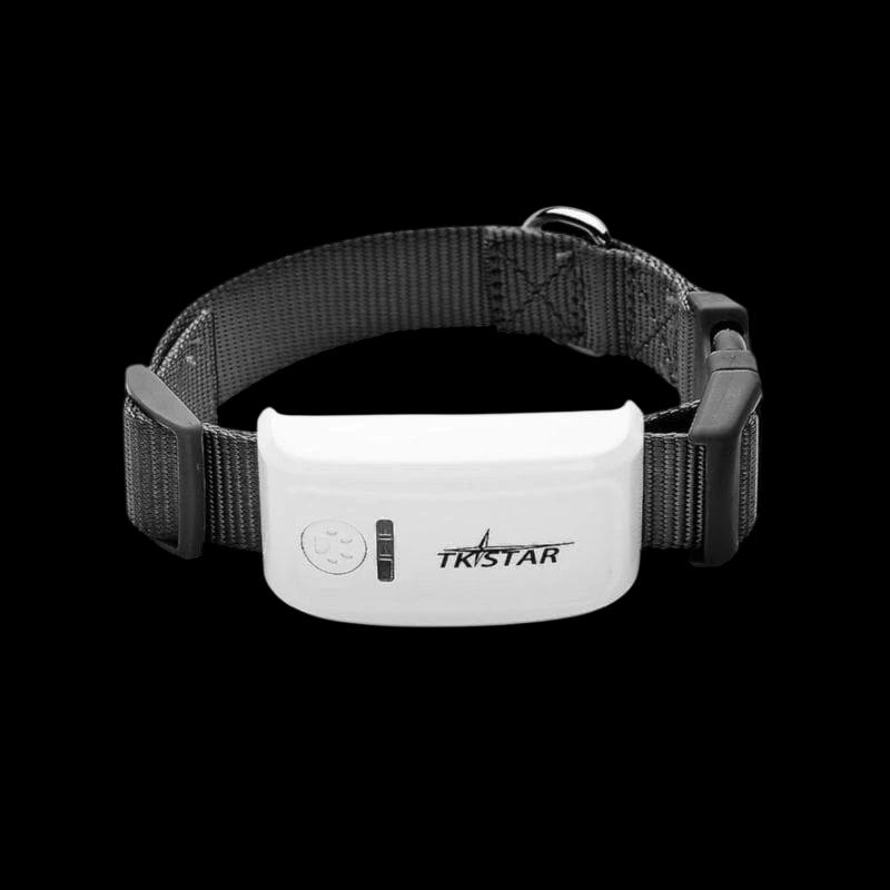 TKSTAR TK909 IP66 3,7 V 1.000 mAh Blanc / Noir - Traceur GPS pour animaux