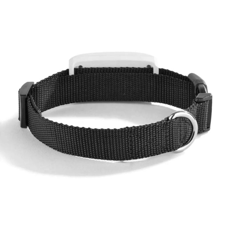 Vista traseira do Rastreador GPS para animais de estimação TKSTAR TK911 Wi-Fi IP66 Branco/Preto