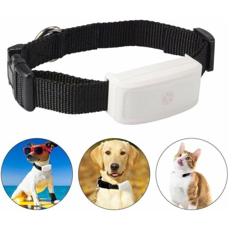 Usos do Rastreador GPS para animais de estimação TKSTAR TK911 Wi-Fi IP66 Branco/Preto