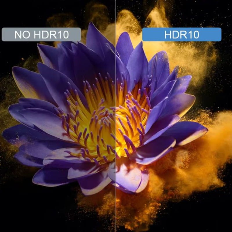 Tecnologías de Transpeed 8K H618 2GB/16GB Wifi Dual Android 12 Negro - Android TV