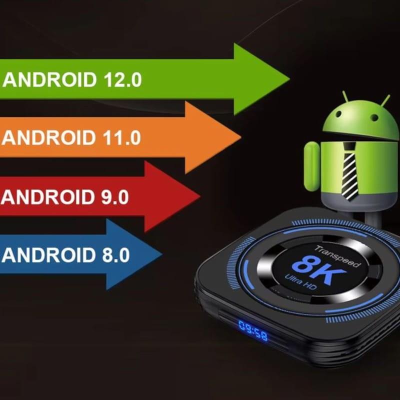 Android de Transpeed 8K H618 2GB/16GB Wifi Dual Android 12 Negro - Android TV