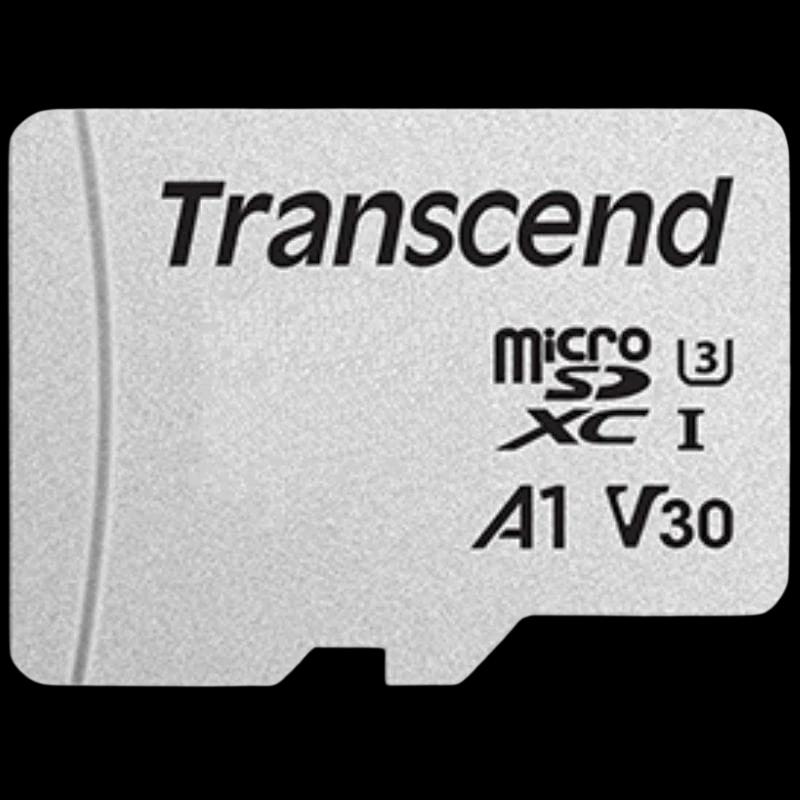 Transcend TS4GUSD300S 4 GB Clase 10 NAND 20 MB/s Plata - Tarjeta microSD
