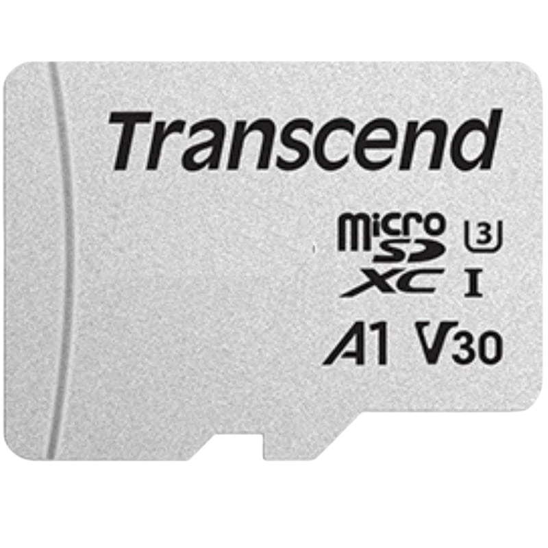 Transcend TS8GUSD300S 8 GB Clase 10 NAND 20 MB/s Plata - Tarjeta microSD