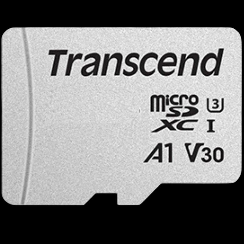 Transcend TS8GUSD300S 8 GB Clase 10 NAND 20 MB/s Plata - Tarjeta microSD